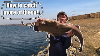 How to Catch Big Flatheads!!! Winter flathead fishing.