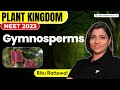 Plant Kingdom - Gymnosperms | Biology | NEET 2023 | Ritu Rattewal