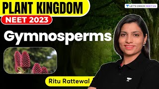 Plant Kingdom - Gymnosperms | Biology | NEET 2023 | Ritu Rattewal