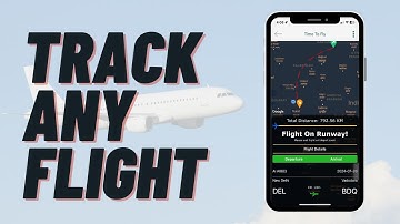 How to Check Flight Status