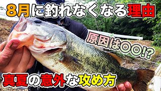 バスが釣れない　① mqdefault.jpg