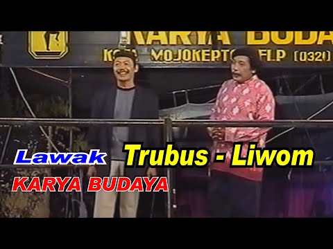 LUDRUK KARYA BARU LIVE MOJOSULUR MOJOSARI MOJOKERTO