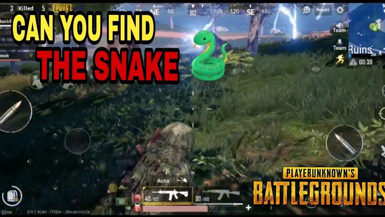 CAN YOU FIND THE SNAKE🐍 FULL SQUAD TPP FT. TANMAY GAMER YouTube