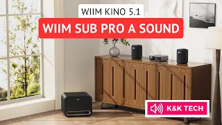 WiiM Sub Pro a Wiim Sound [Recenze &amp; Představení]