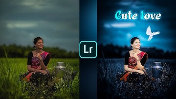 Lightroom dark blue bird effect photo editing tutorial | Lightroom background colour change