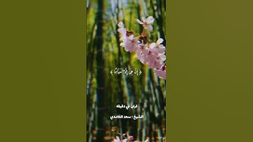 قران كريم ارح قلبك وسمعك #قران_في_دقيقة #سعد_الغامدي #quran #المصحف @قران_في_دقيقه #قران
