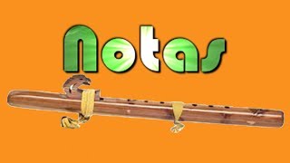 🎼TUTORIAL DE FLAUTA NATIVA AMERICANA | POSICION DE NOTAS ♪♫♬ ONLINE ACADEMY OF LATIN AMERICAN MUSIC chords