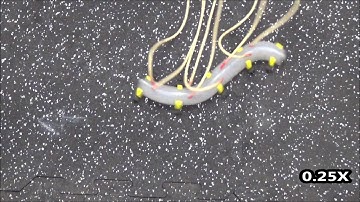 Soft Robotic Snake Version 2 - Fast Locomotion