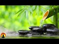 🔴 Relaxing Music 24/7, Meditation, Sleep Music, Calm Music, Healing, Relax, Zen, Sleep, Spa, Study