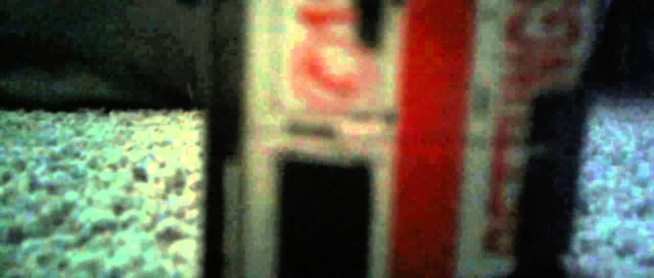 Sled sunflower 6 (the takedown) YouTube