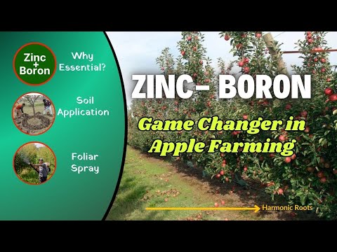 Zinc And Boron Foliar Spray How To Use