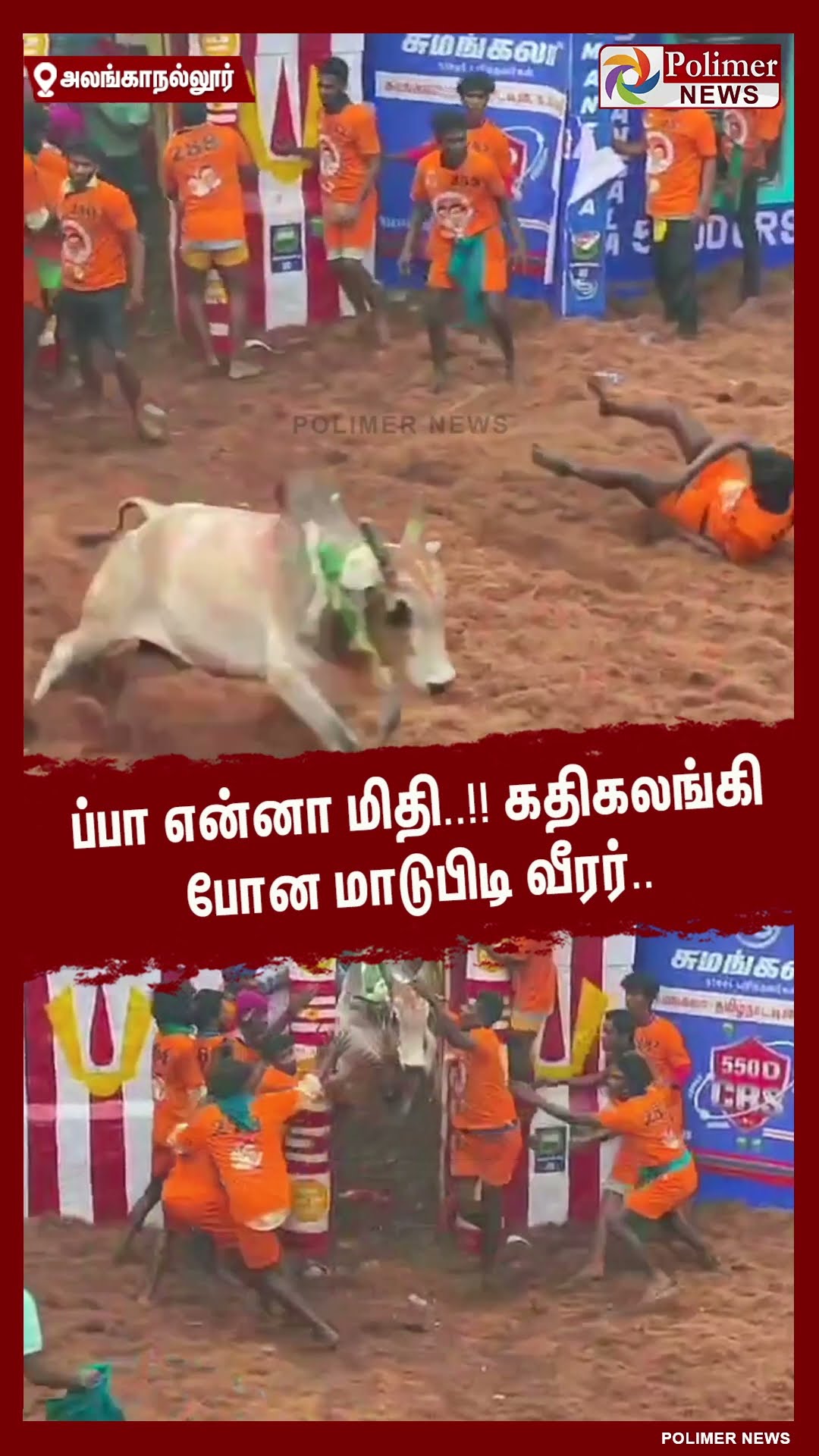 ப்பா என்னா மிதி..!! கதிகலங்கி போன மாடுபிடி வீரர்..#shorts