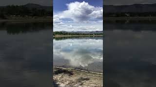 IMG 5087
