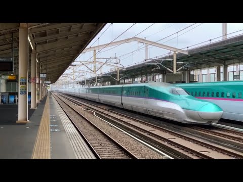 東北新幹線停車、通過。小山駅にて。E5系 H5系 E6系 E2系 E3系　警笛あり。