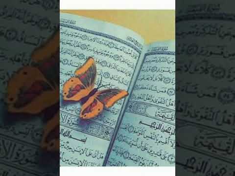 عندما يبدع الشيخ محمد الليثى حالات واتس دينية