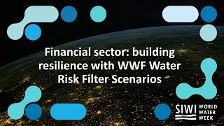 Financial sector: building resilience with WWF Water Risk Filter Scenarios