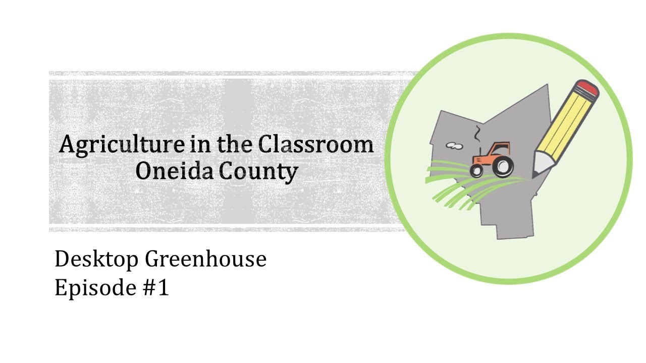 Desktop Greenhouse Episode 1 Do plants need light? YouTube