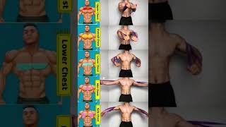 Chest Workout at Home With Resistance Band /Bigger Chest Without Gym 🔥#homeworkout #resistanceband