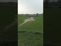 #viral short video #cricket