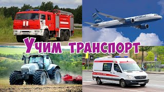 РАЗВИВАЮЩЕЕ ВИДЕО Учим транспорт Мультики транспорт Мультики для детей Транспорт для малышей