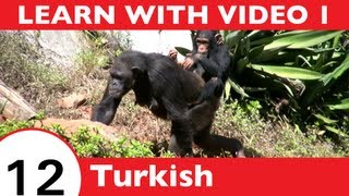 ⁣Learn Turkish with Video - It's a Jungle Out There: Let TurkishClass101.com Show You an Easier 