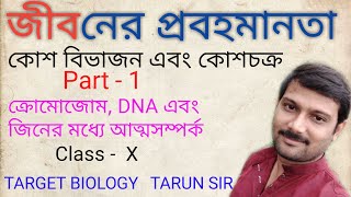 Interrelationship among chromosome, DNA and gene | unit 2 | Class 10 |TARGET BIOLOGY |