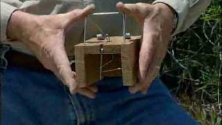 Animal Trap Hd - 6X6X16 Rats, Squirrels