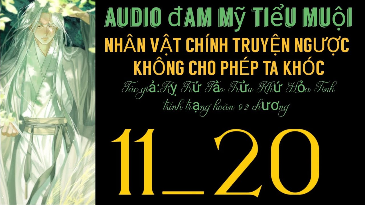 NHÂN VẬT CHÍNH TRUYỆN NGƯỢC KHÔNG CHO PHÉP TA KHÓC chương 11_20 audio đam mỹ tiểu