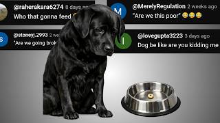 Feed The Dog - Chat Music