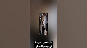 ماذا تفعل الشيشة في جسم الإنسان 
