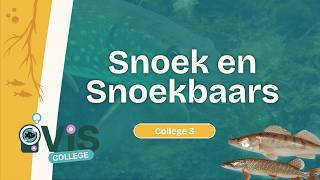 Viscollege 3 - Snoek En Snoekbaars