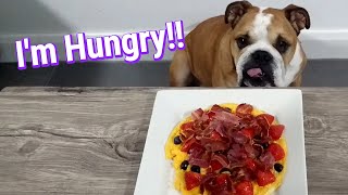 English Bulldog Enjoys Her Anniversary Omelette Cake (ASMR)