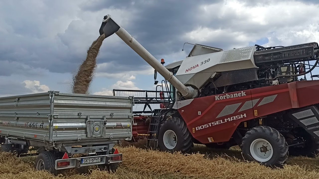 Żniwa 2021 z Rostselmash Nova 330 !