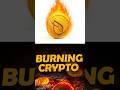 Burning System All Details!