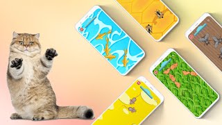 WebMate Digital - Games for Cat App screenshot 5