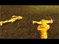 asfr gmod Golden Hunt