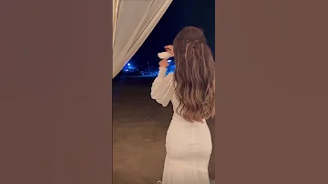 طير الحمامي 