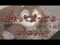 好きって言ってよ/あいみょん/ギターコード