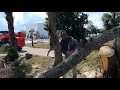 President Biden visits Florida after Idalia, promises federal aid