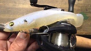 Everything You Need To Know To Catch Bass On A Magdraft Swimbait In April…