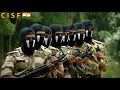 ⚔️ CISF   🇮🇳  status video