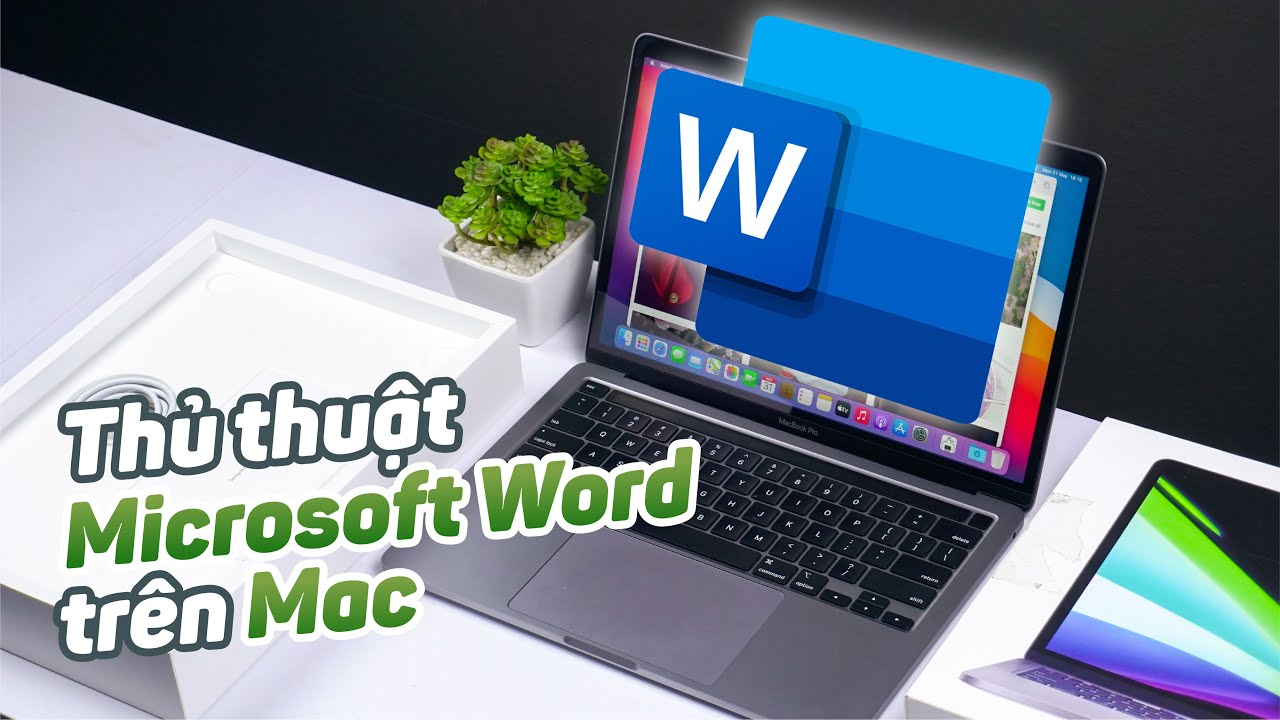 Hướng dẫn sử dụng Microsoft Word trên MacBook – Tổng hợp các mẹo vô cùng hữu ích