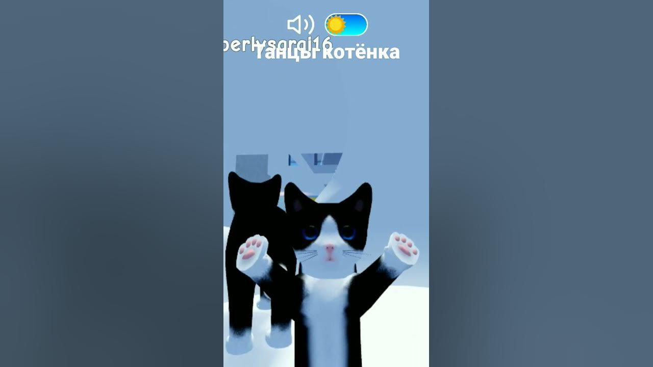 котик танцует - YouTube