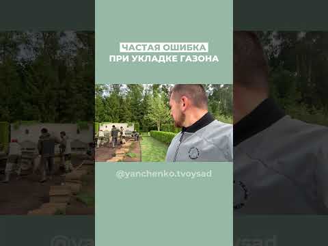 Исправляем ошибку при укладке рулонного газона #shorts #ландшафт