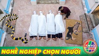 SỰ TÍCH MỚI 2024 | NGHỀ NGHIỆP CHỌN NGƯỜI | SỰ TÍCH VIỆT NAM HAY NHẤT 2024 | CỔ TÍCH VIỆT NAM 2024