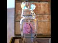 Why Ancient Egyptians Stored Organs in 4 Sacred Jars
