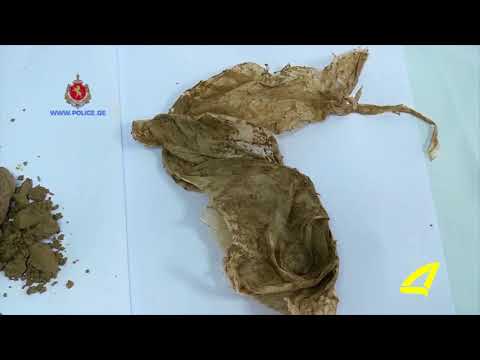 აზერბაიჯანულ ენოვანი ქრონიკა  18- 09- 2017