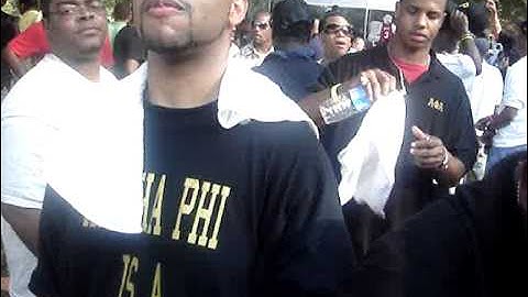 Alpha Phi Alpha Going Wild at the Atlanta Greek Picnic
