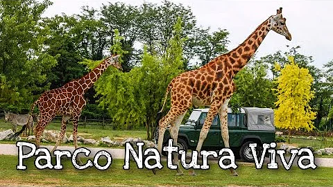 Quando riapre Parco Natura Viva?
