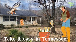 $85k House in Tennessee, Fish 🎣 outside your front door